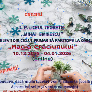 MAGIA UNUI CRĂCIUN CREATIV