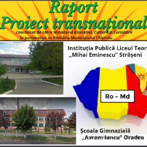 Proiect transnațional ”Ursulețul de pluș”