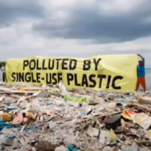 Spune NU poluării! Spune NU plasticului!