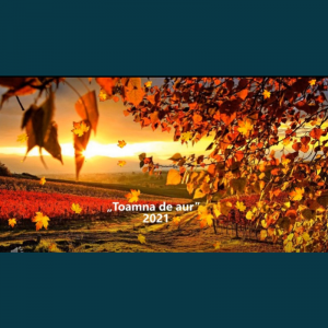 Toamna aurie în viziunea elevilor ciclului primar din IP Liceul Teoretic „M. Eminescu”