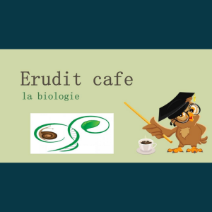 Erudit cafe la biologie