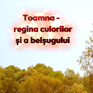 Octombrie este o simfonie a schimbării